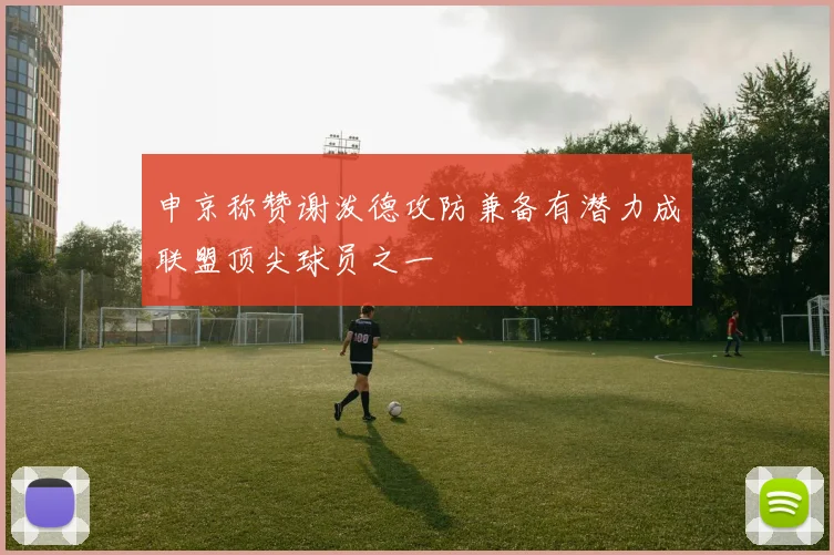 申京称赞谢泼德攻防兼备有潜力成联盟顶尖球员之一