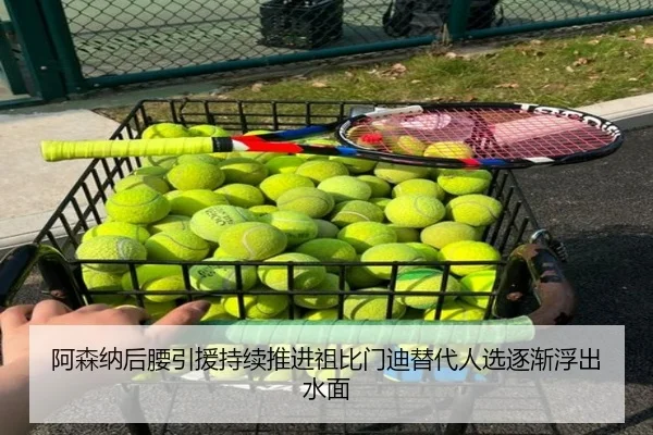 阿森纳后腰引援持续推进祖比门迪替代人选逐渐浮出水面（jiuyou）